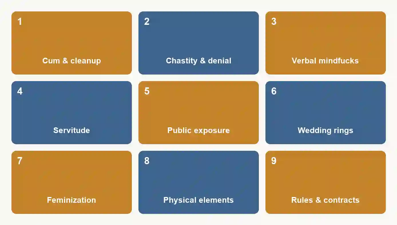 Colorful infographic on BDSM topics including consent, public exposure, and rules.